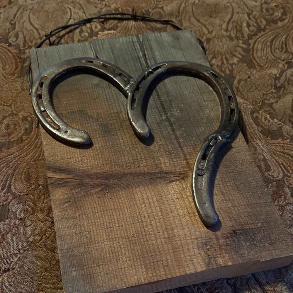 Rustic Horseshoe Wall Decor